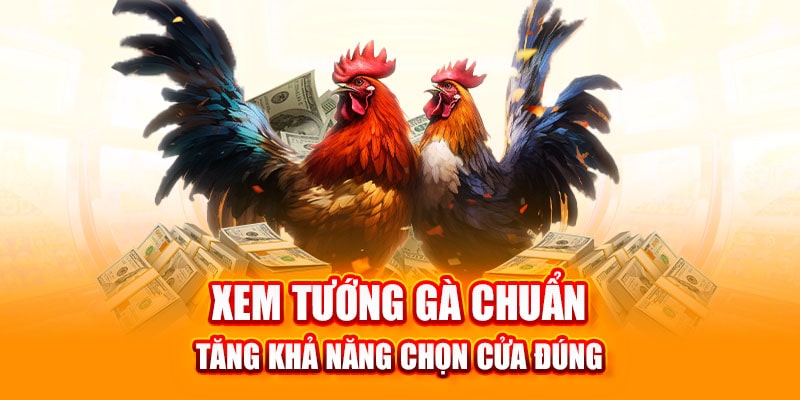 Các Hình Thức Đá Gà Phổ Biến Tại DF999